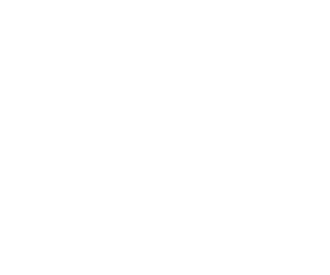 Customer Servay System